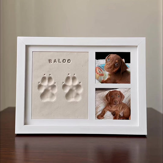 Fingerprint Guestbook | Souly™